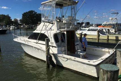 Luhrs Tournament 350 Custom for sale in United States of America for $25,000 (£19,683)
