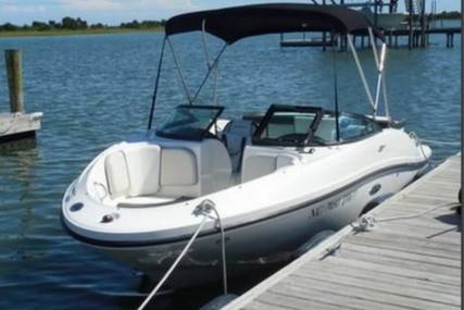 Sea Ray 185 Sport for sale in United States of America for $19,975 (£14,314)