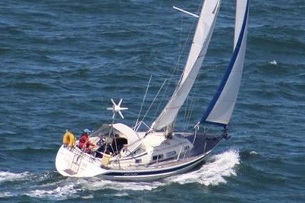 Hallberg-Rassy 31 for sale in United Kingdom for £54,950