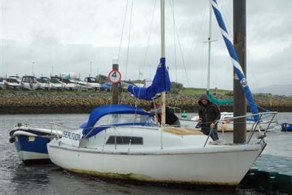 SEAL 22 for sale in United Kingdom for £1,750