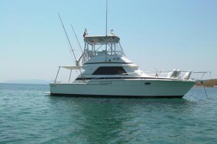 Bertram 37 Convertible for sale in Greece for €140,000 (£122,068)