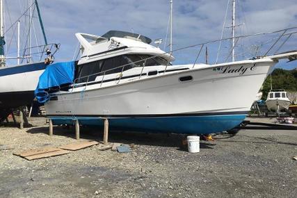 Bayliner 3288 Flybridge for sale in United Kingdom for £42,000