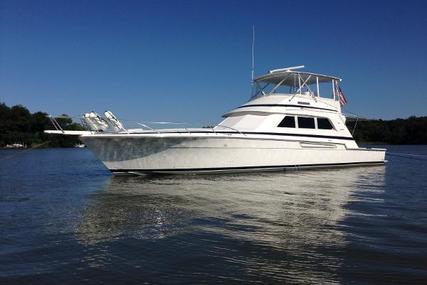 Bertram Convertible for sale in United States of America for $467,000 (£353,071)