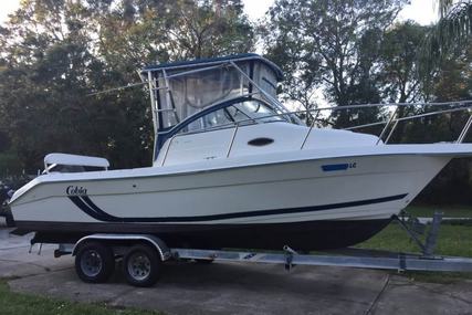 Cobia 250 WAC for sale in United States of America for $20,495 (£15,401)