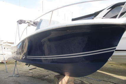 White Shark 205 Club for sale in United Kingdom for £19,950