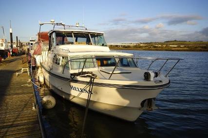 Birchwood 33 for sale in United Kingdom for £23,950