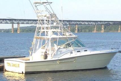 Rampage 38 for sale in United States of America for $139,000 (£105,626)
