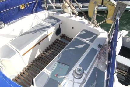 Seawolf 26 for sale in United Kingdom for £7,995