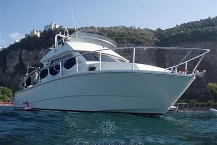 Raffaelli Big Game for sale in Italy for €35,000 (£30,437)