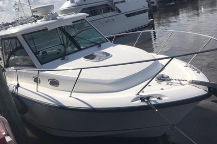 Boston Whaler 315 Conquest for sale in United States of America for $199,500 (£142,834)