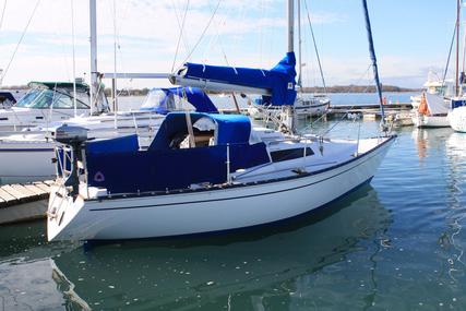 Trapper 300 for sale in United Kingdom for £8,950