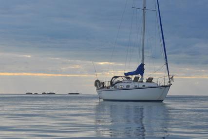 Bristol Channel 29.9 for sale in United States of America for $19,500 (£14,476)