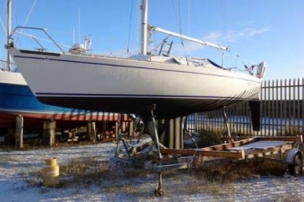 Albin ALBIN 25 for sale in United Kingdom for £7,495