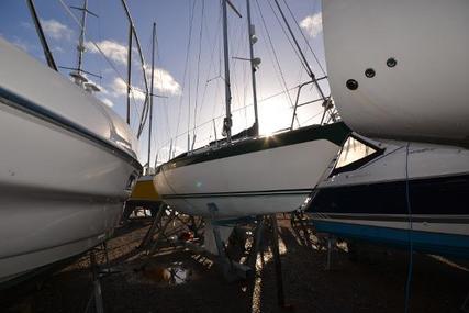 Oyster 26 for sale in United Kingdom for 15.995 £