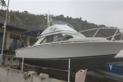 Bertram 28' Fly for sale in Italy for €39,000 (£34,125)