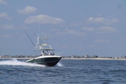 Blackfin 33 Combi for sale in United States of America for $49,995 (£37,692)
