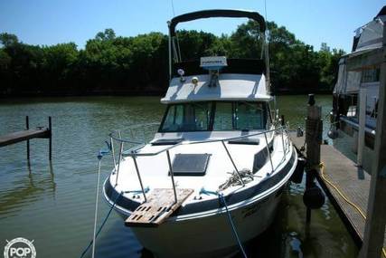 Wellcraft 310 Sedan for sale in United States of America for $13,900 (£10,588)
