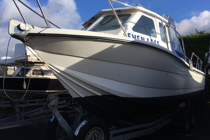 HELLRAISER 223 for sale in United Kingdom for £21,950