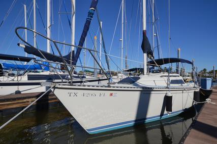 C&C 27 MK 5 for sale in United States of America for $23,900 (£16,788)