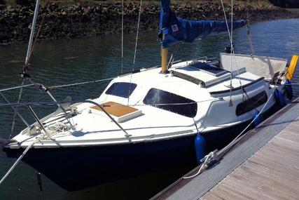 Matilda 20 for sale in United Kingdom for £3,895