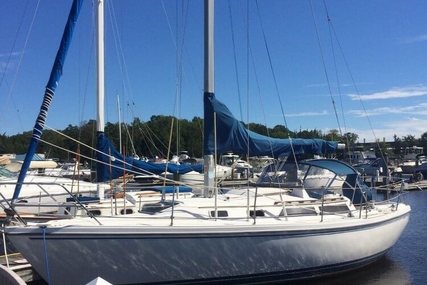 Catalina C30 for sale in United States of America for $25,500 (£17,912)