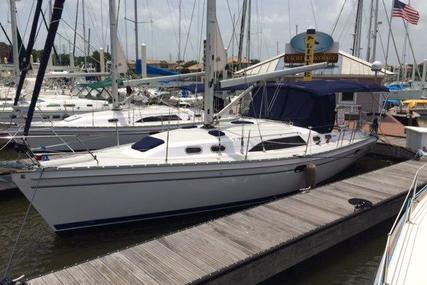Catalina 385 #51 for sale in United States of America for $269,000 (£188,958)
