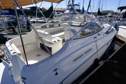 Bayliner Ciera 2455 Sunbridge for sale in United States of America for $24,900 (£18,772)