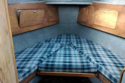 Mitchell 31 Mk1 Sea Angler for sale in Guernsey and Alderney for £16,995