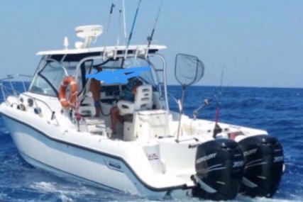 Boston Whaler BOSTON 305 for sale in Italy for €145,000 (£125,208) Boston Whaler BOSTON 305 for sale in Italy for €145,000 (£125,208)
