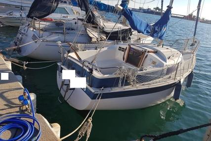 Newbridge Navigator 19 for sale in Spain for €5,500 (£4,807)