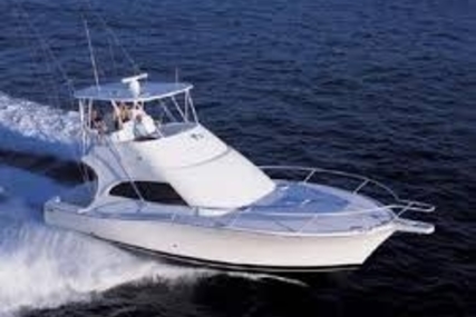 Luhrs 41 Convertible for sale in Germany for €199,900 (£175,183)