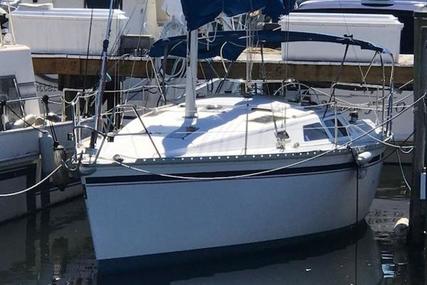 Hunter H30 Very Clean w Yanmar REPO for sale in United States of America for $10,495 (£7,472)