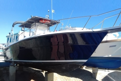 Angler Boats ANGLER HORIZON 252 CC for sale in Italy for €27,000 (£24,138)