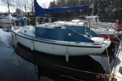 Wing 25 for sale in United Kingdom for £5,995