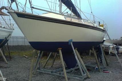 Westerly Merlin for sale in Ireland for €19,900 (£17,307)