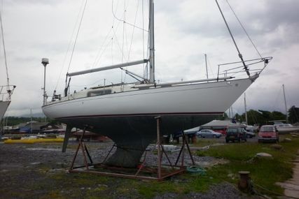 SEEKER 31 for sale in United Kingdom for £13,950