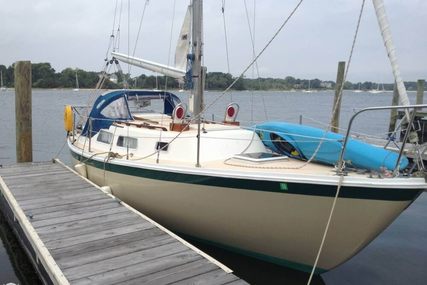 Cal Jensen 29 for sale in United States of America for $ 17.500 (£ 12.496)