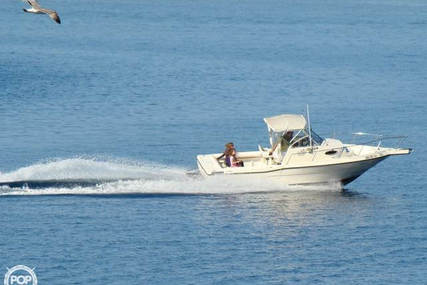 Sea Master 2388 WA for sale in United States of America for $17,500 (£12,529)