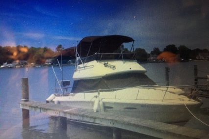 Sea Ray SRV 255 Sedan Bridge for sale in United States of America for $17,000 (£12,103)