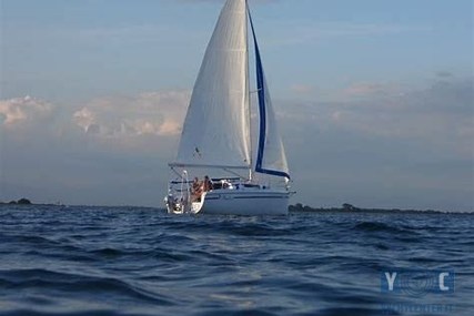 NAUTI/POLONIA FOCUS 850 for sale in Italy for €30,000 (£26,278)