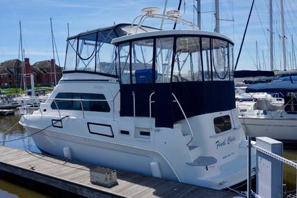 Mainship 37 Motor Yacht for sale in United States of America for $59,900 (£44,466)
