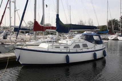 MIDGET 31 for sale in United Kingdom for £48,950