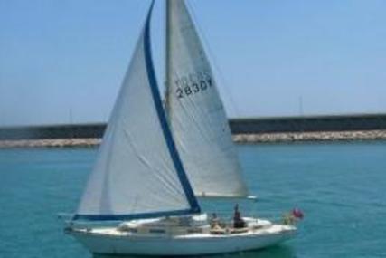 Warrior 35 for sale in Spain for €18,500 (£16,272)