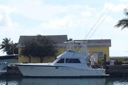 Hatteras Convertible for sale in United States of America for $66,700 (£49,675)