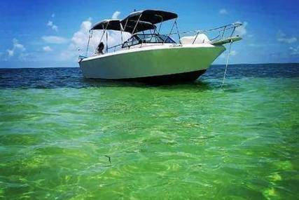 Pro-Line Cuddy Fish 230 for sale in United States of America for $33,400 (£23,844)
