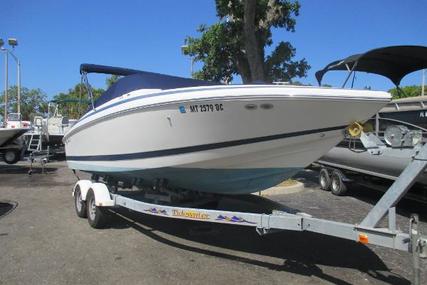 Cobalt 246 for sale in United States of America for $ 26.999 (£ 19.375)