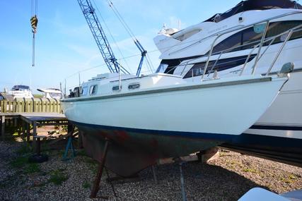 Halcyon 27 for sale in United Kingdom for £4,950