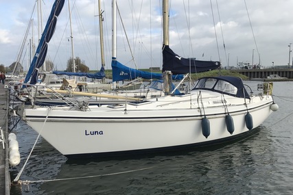 Contest 31 ht for sale in Netherlands for €22,500 (£20,020)