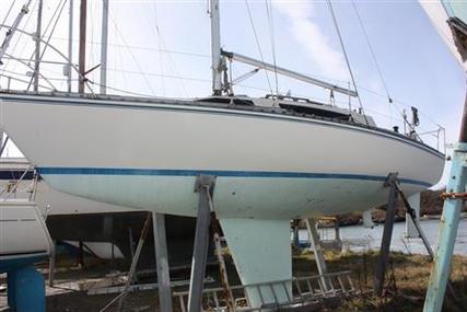 Angus Richardson Pacesetter 28 for sale in United Kingdom for £6,500