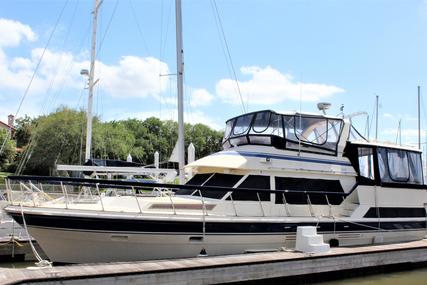 Vista kha shing for sale in United States of America for $99,500 (£69,893)